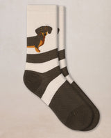 Chaussettes teckel Brun